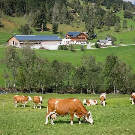 Rojerhof