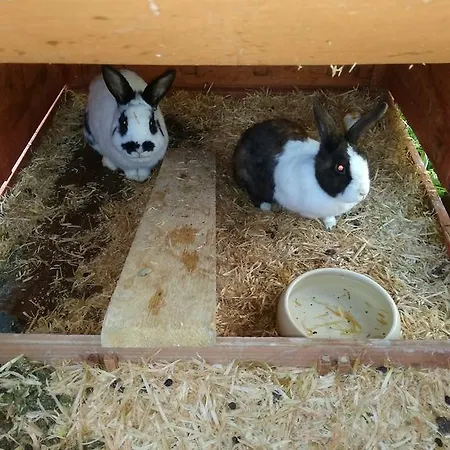 Rojerhof Çiftlik konaklama