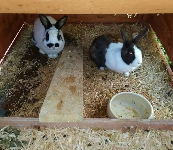 Rojerhof Vakantieboerderij